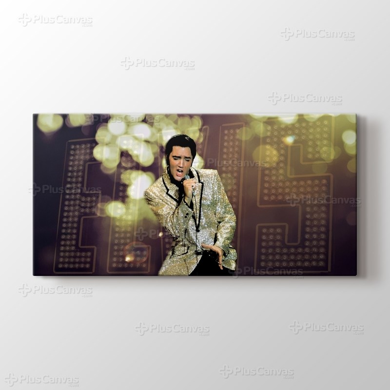 Elvis Presley görseli.