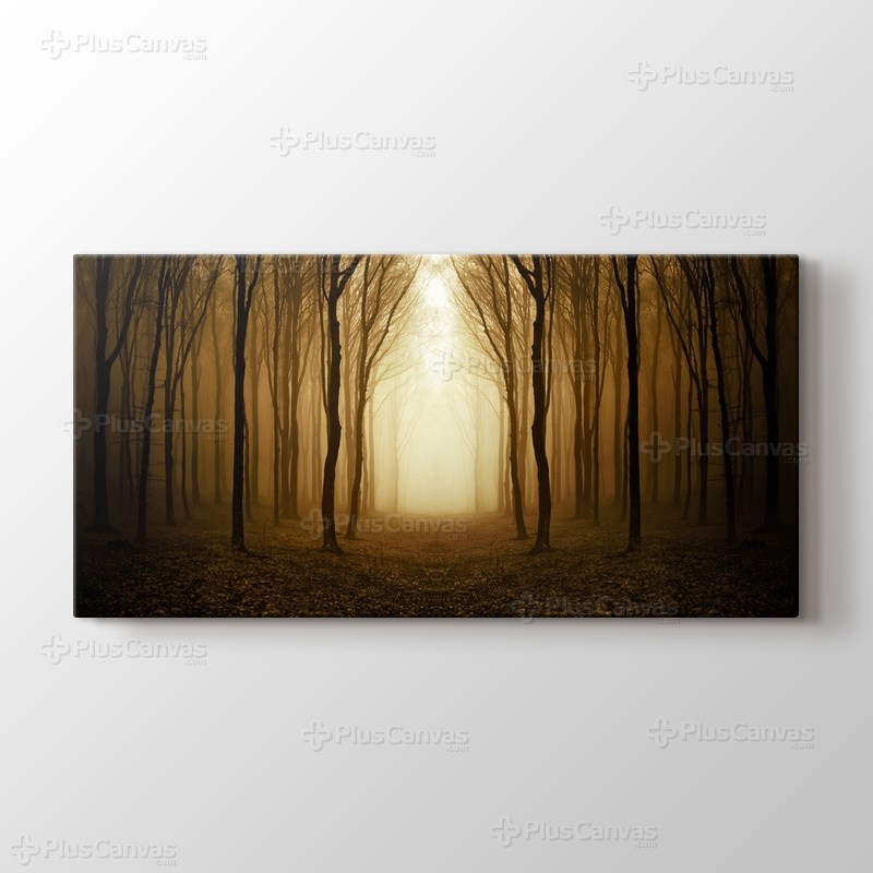 Altın Orman görseli.