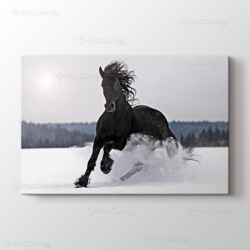 Strong Black görseli.