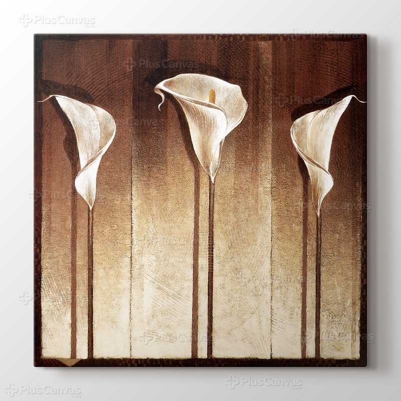 Three Cella Lillies görseli.