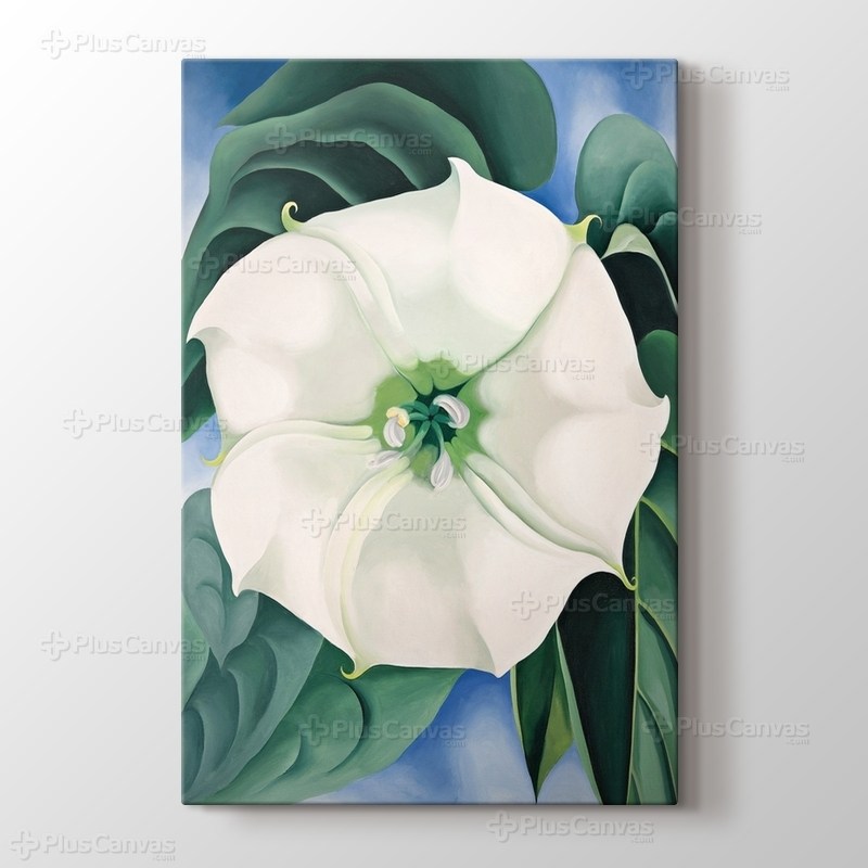 White Flower No1 görseli.