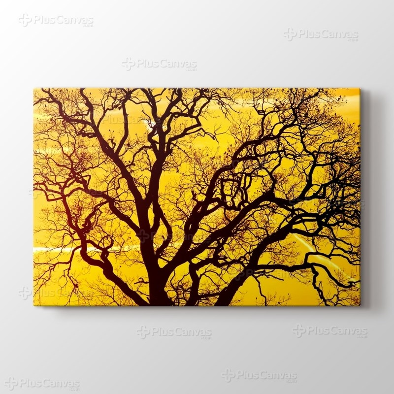 Sarı Gökyüzü görseli.