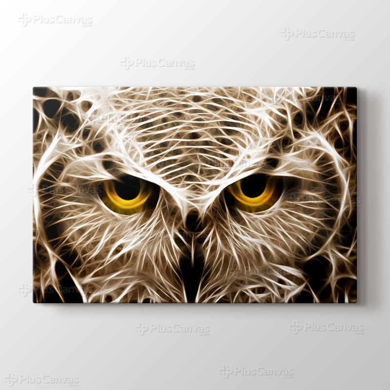 CloseUp Owl görseli.