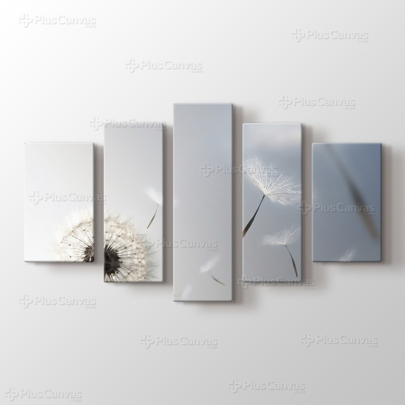 Karahindiba görseli.