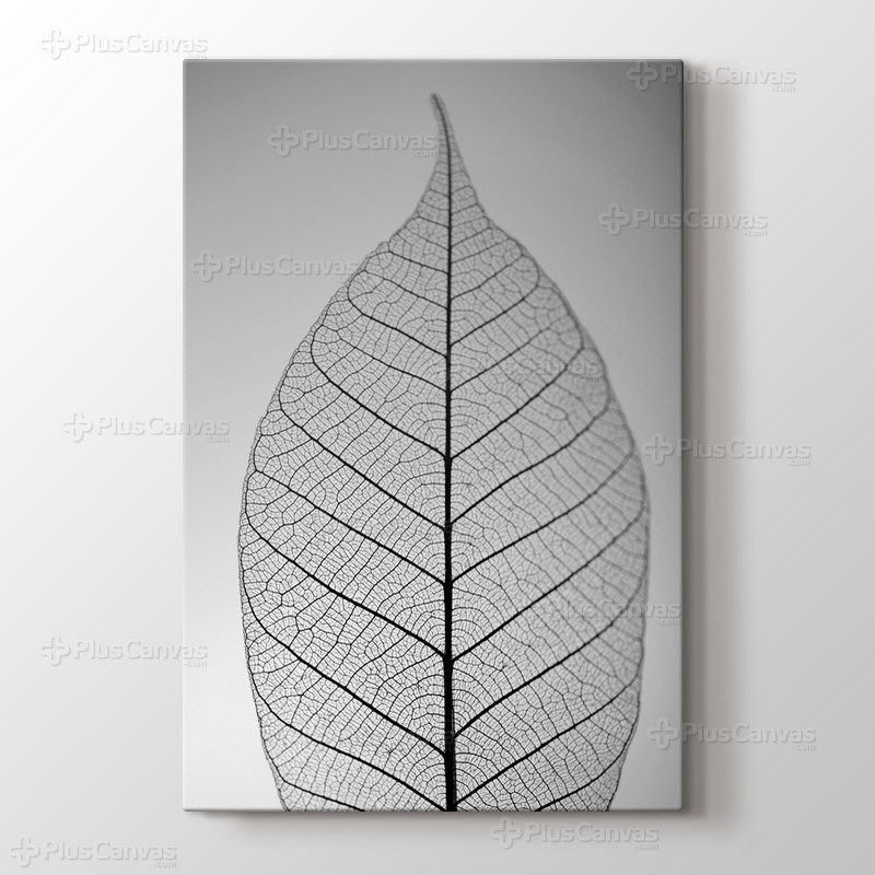 Skeleton Leaf görseli.
