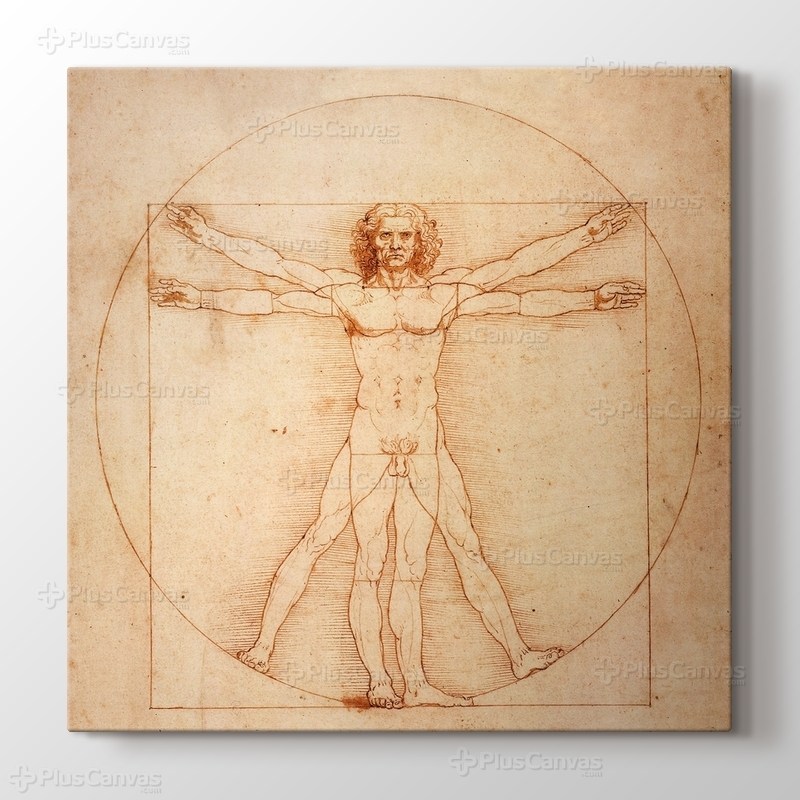 Vitruvian Man görseli.