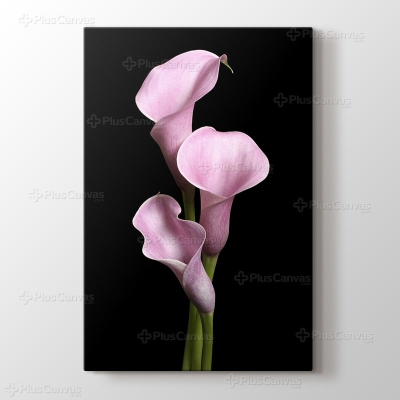 Pink Lillies görseli.