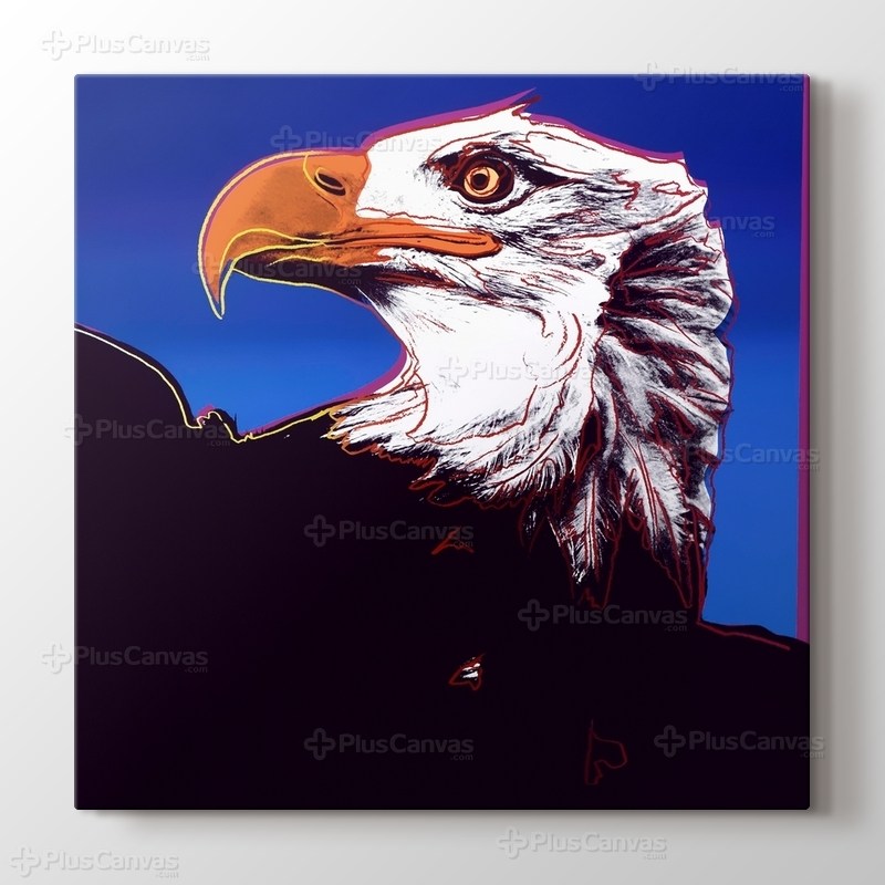 Bald Eagle görseli.