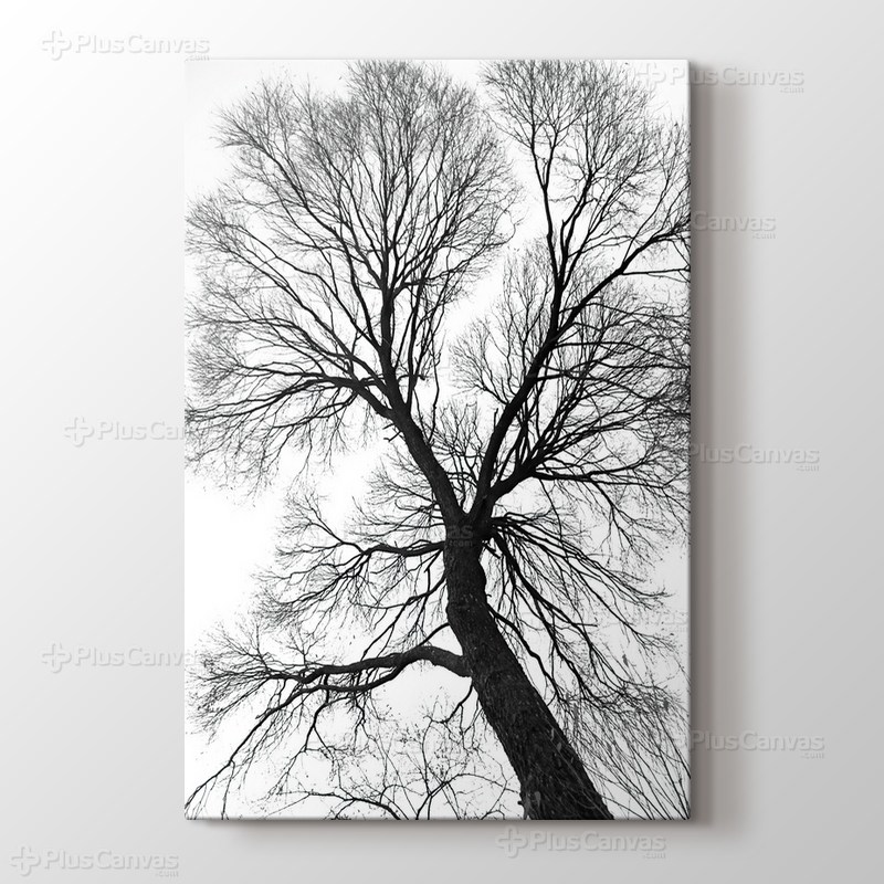 Ağaç Perspektif görseli.