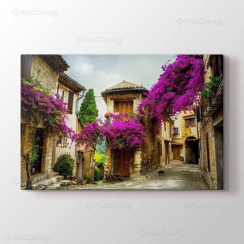 Erguvan Çiçekli Provence görseli.