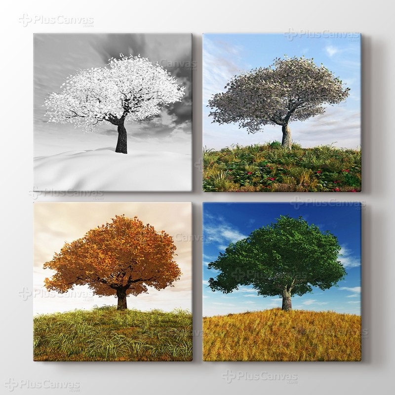 Four Seasons görseli.