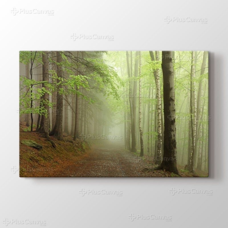 Sisli Orman Yolu görseli.