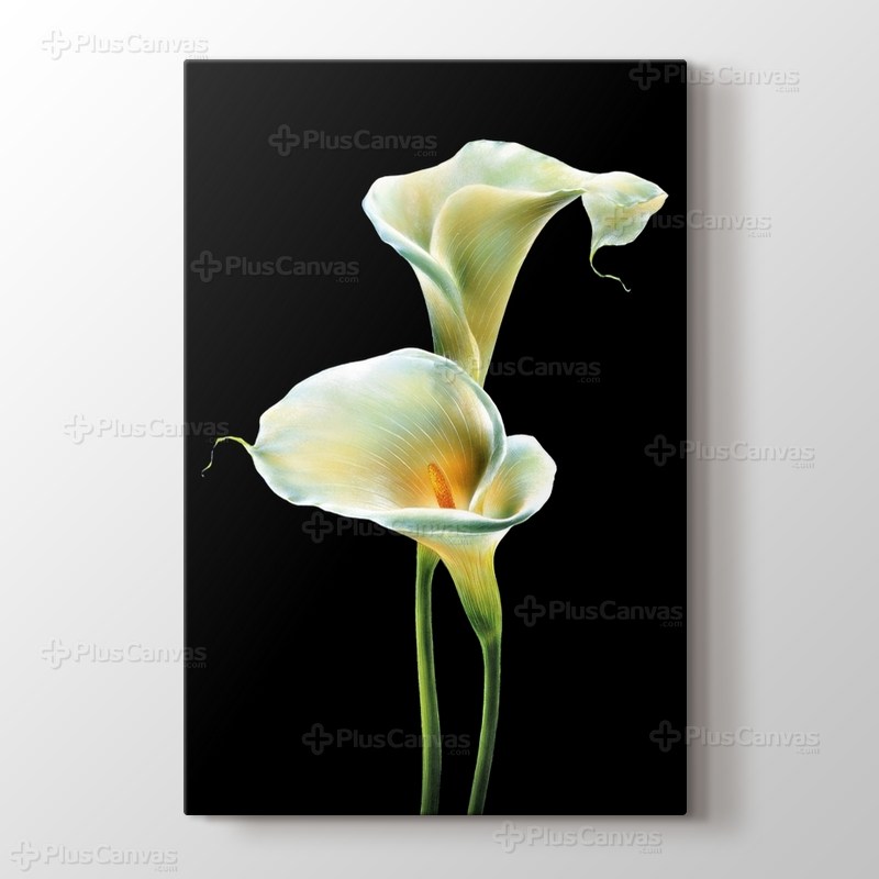 Lillies on Black görseli.