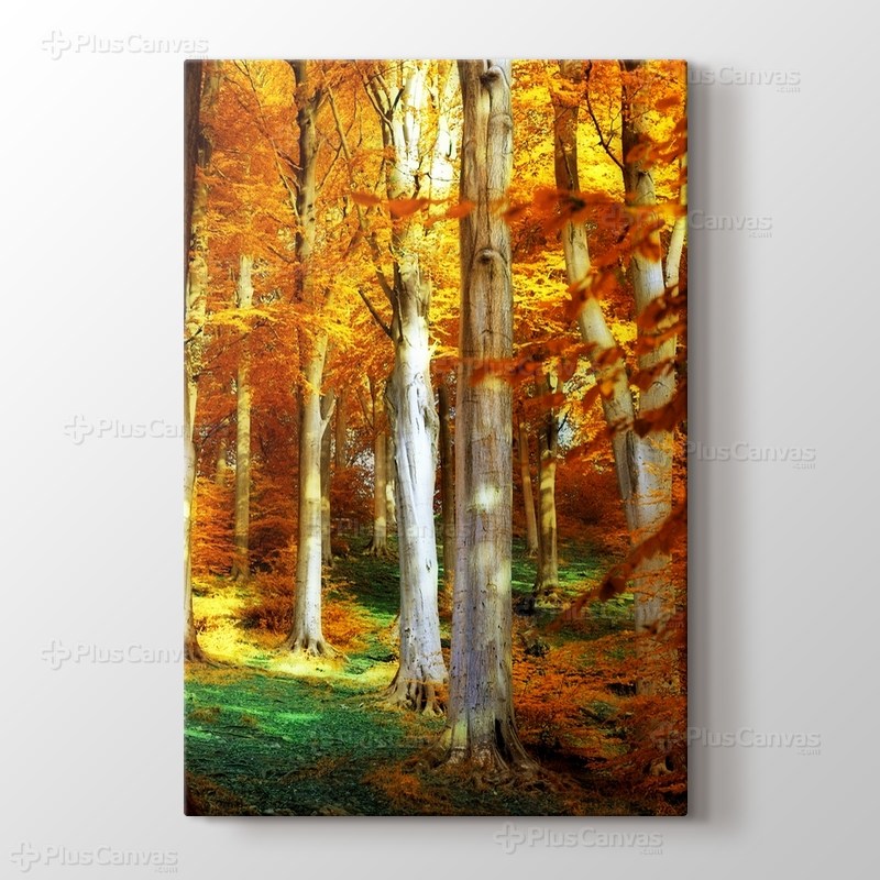 Spring Trees görseli.