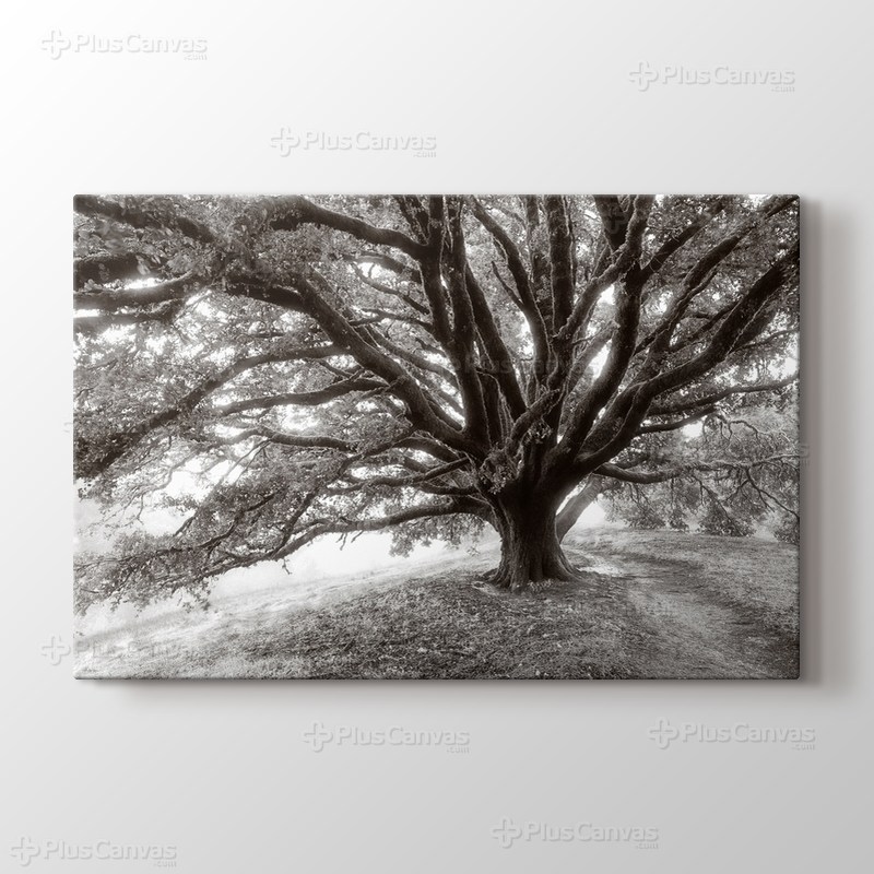 Dev Ağaç görseli.