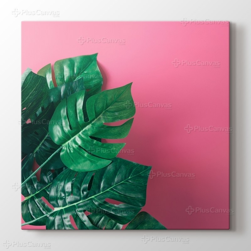 Monstera Leaves görseli.