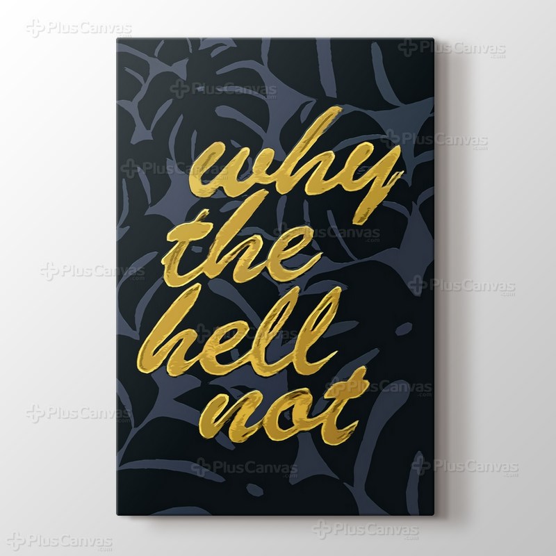 Why the hell not görseli.