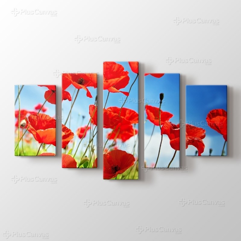 Gelincikler görseli.