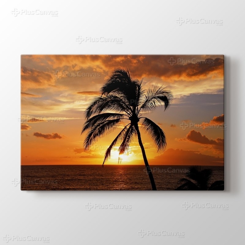 Sunset at Coast görseli.