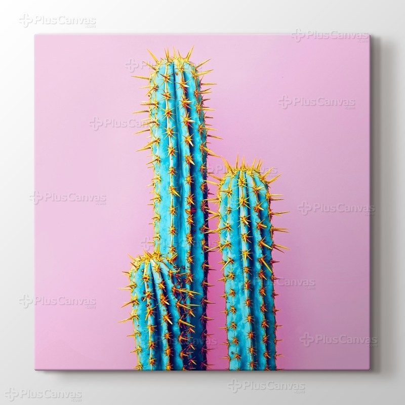 Kaktüs ve Pembe Fon görseli.