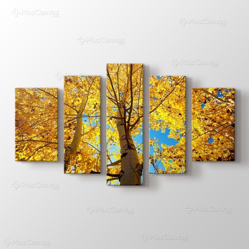 Sonbahar Ağaçları görseli.