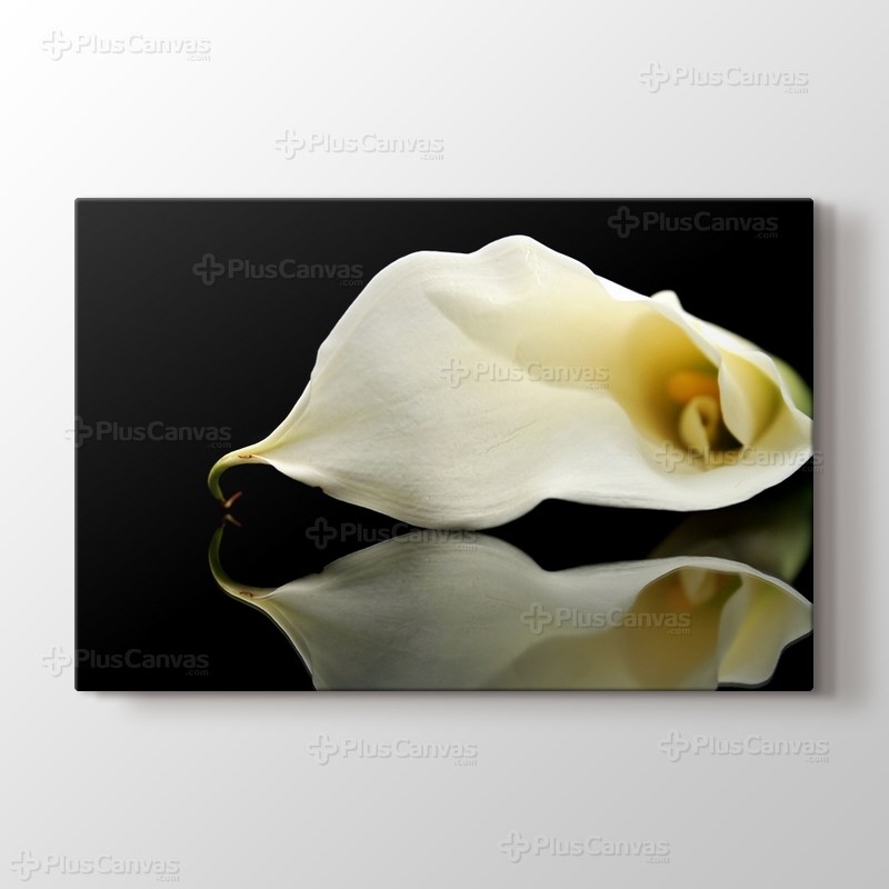 White Lillies görseli.