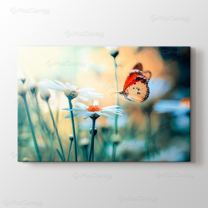 Kırçiçekleri ve Kelebek görseli.