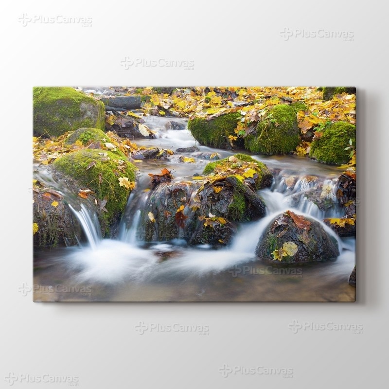 Watersmooth görseli.