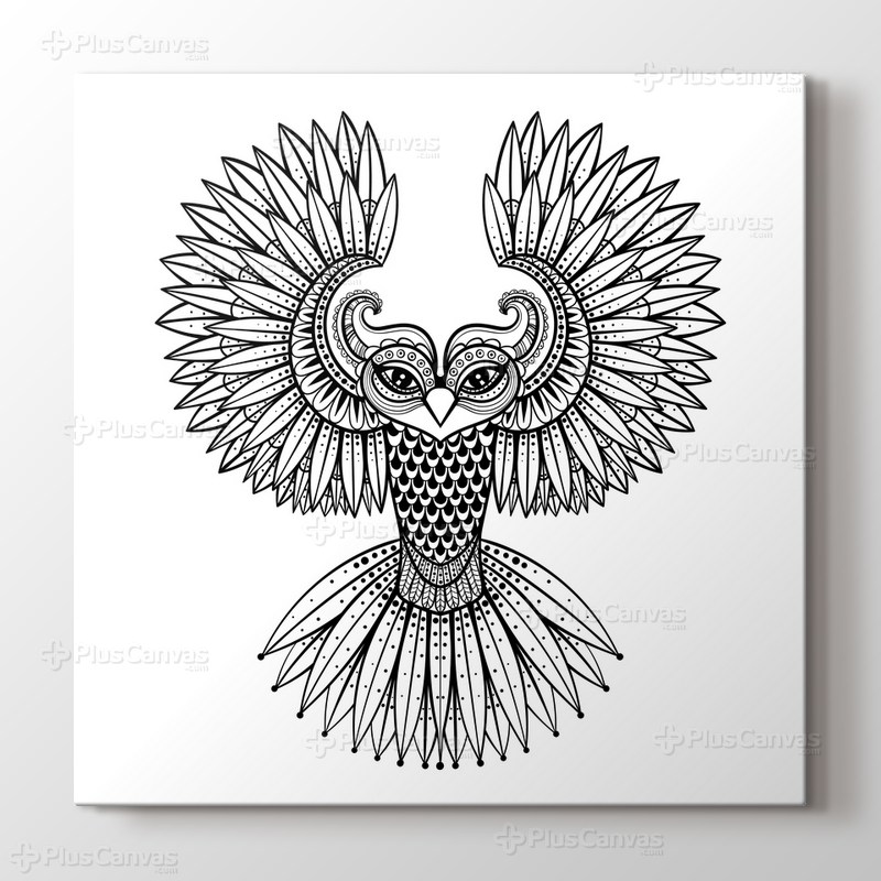 Baykuş boyama tablo görseli.