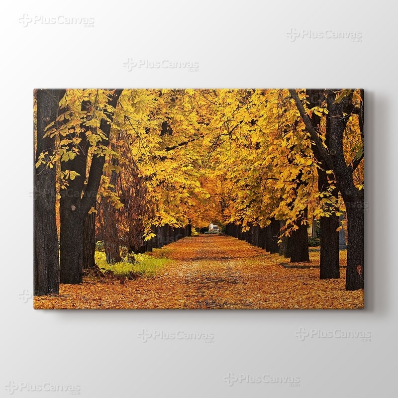 Autumn Colors görseli.