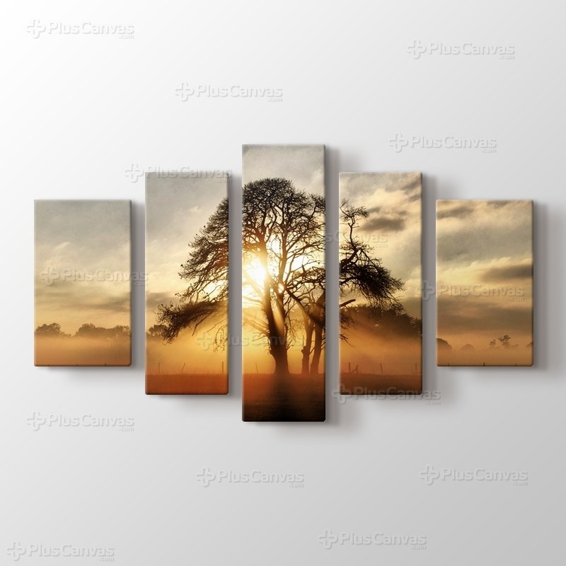 Sunlight through Tree görseli.