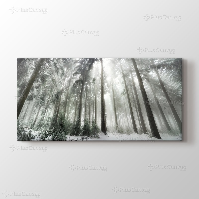 Winter Forest görseli.