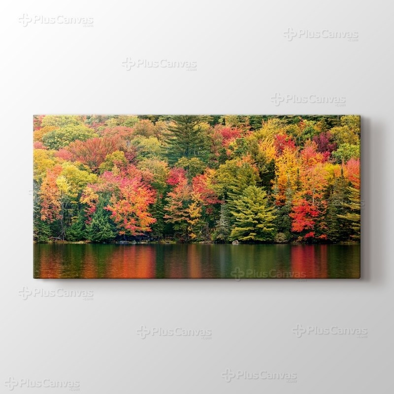 Autumn Foliage görseli.