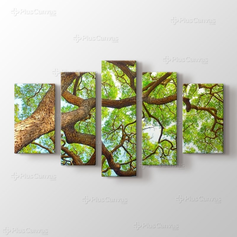 Afrika Habitatı görseli.