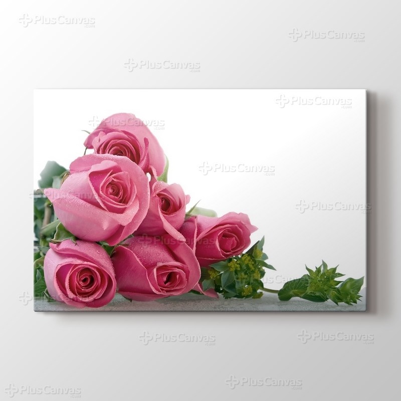 Pink Roses görseli.