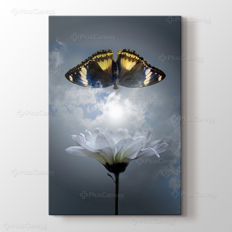 Butterfly - Kelebek görseli.