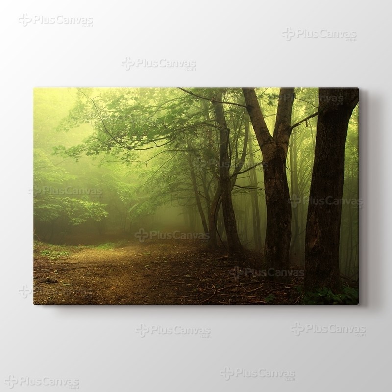 Green Forest With Fog görseli.