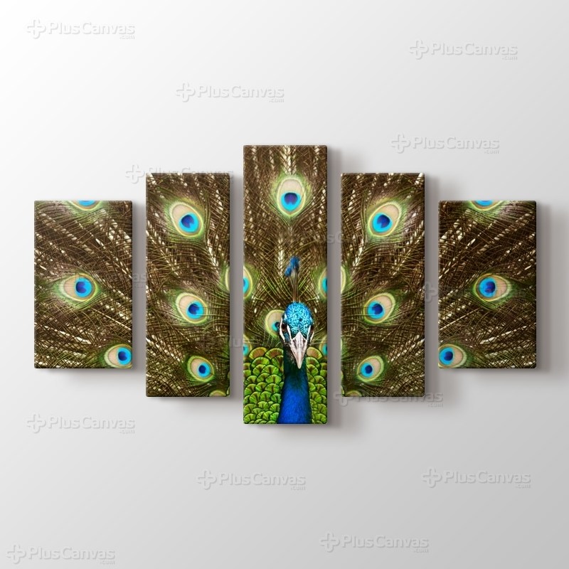 Tavuskuşu görseli.