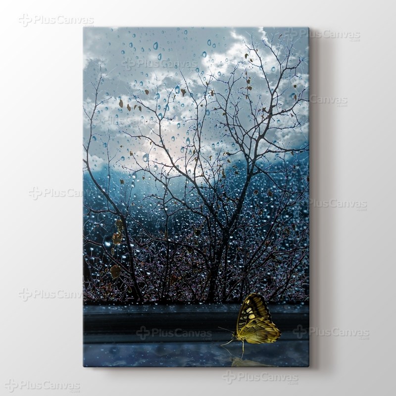 Butterfly Effect görseli.