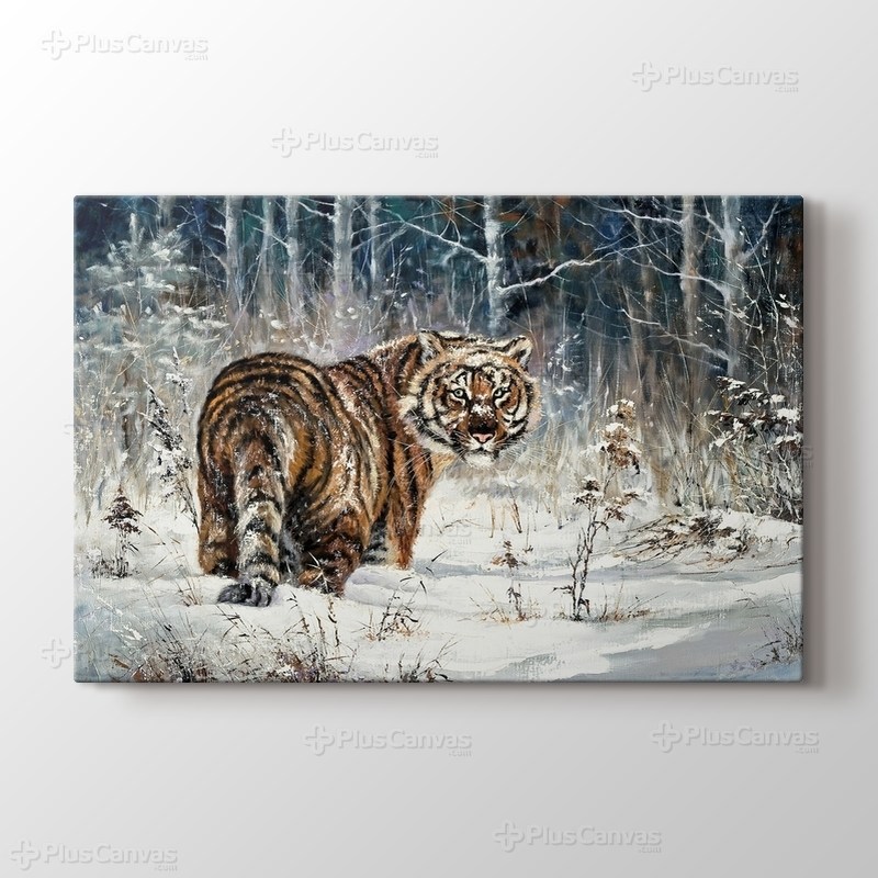 Bengal Tiger görseli.