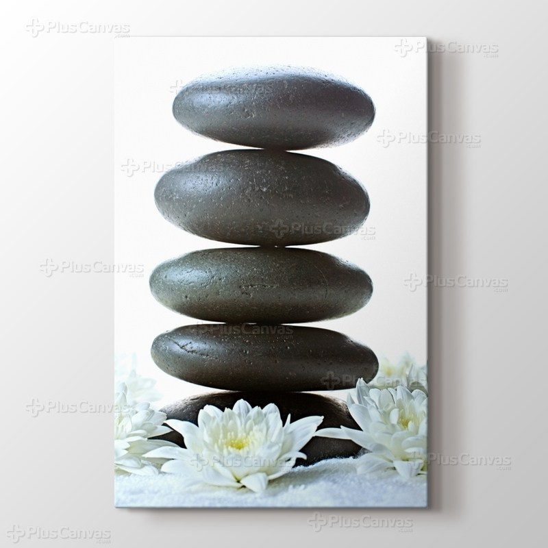 Beyaz Çiçek ve Çakıl Taşları görseli.