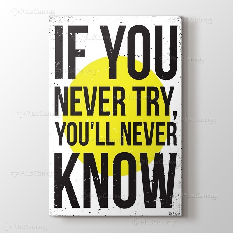 Never Try Never Know görseli.