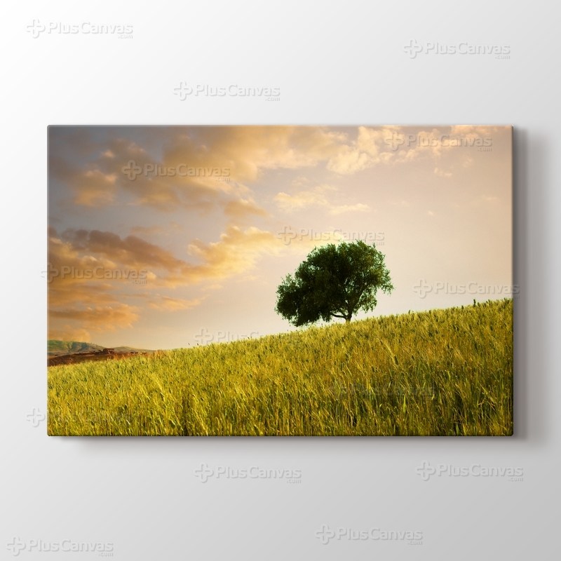 Sloping Land görseli.