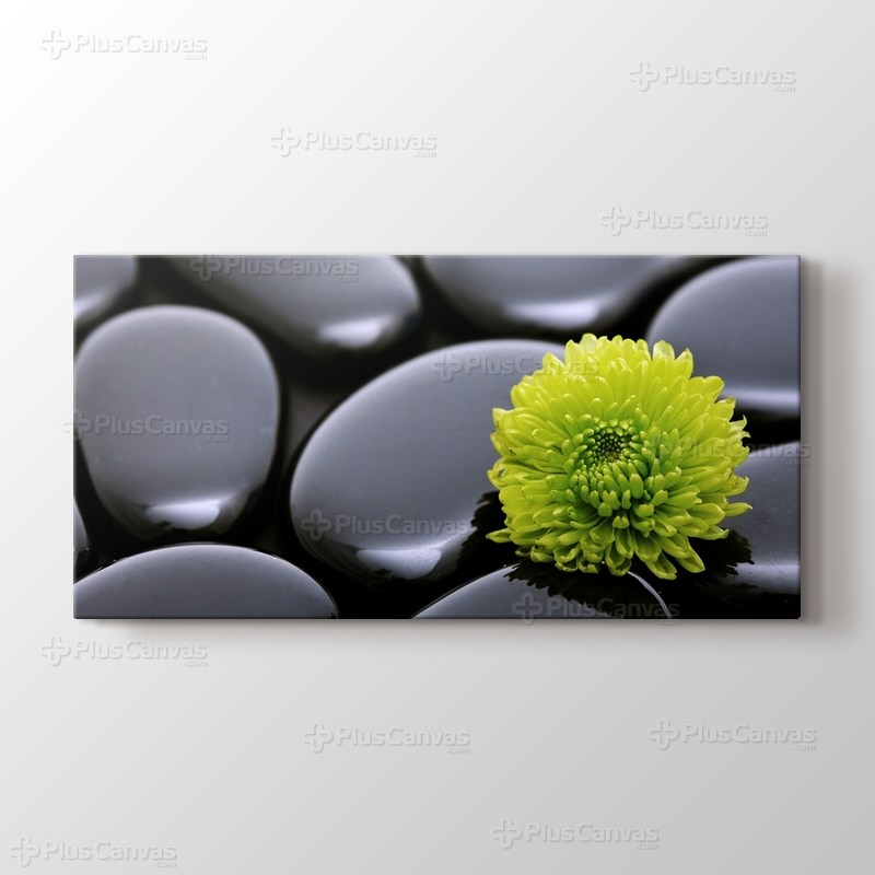 Black Pebbles and Flower görseli.