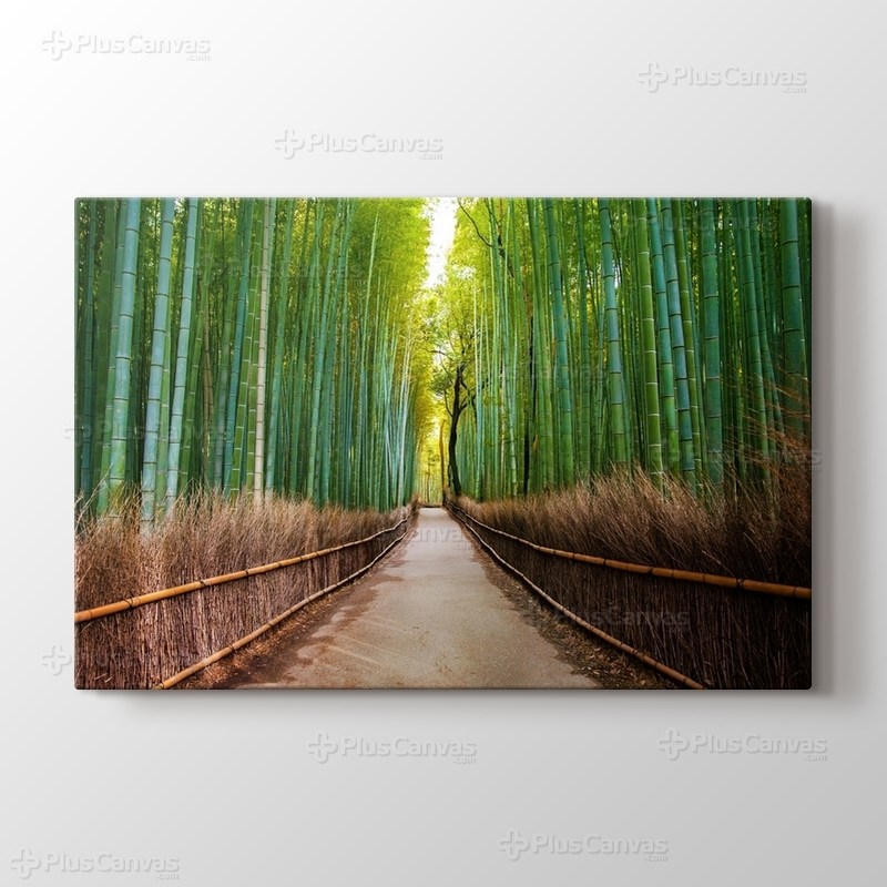 Bamboo Forest in Kyoto Japan görseli.