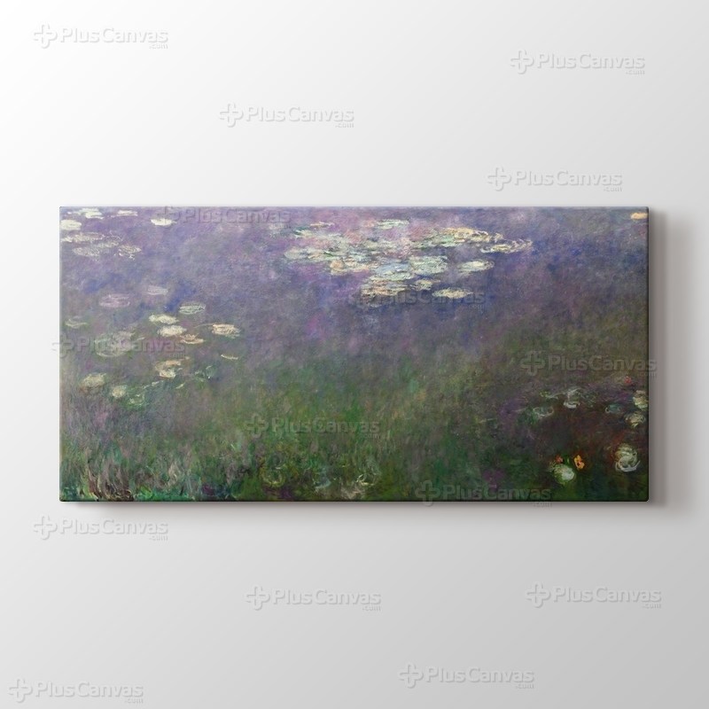 Water Lilies - Agapanthus görseli.