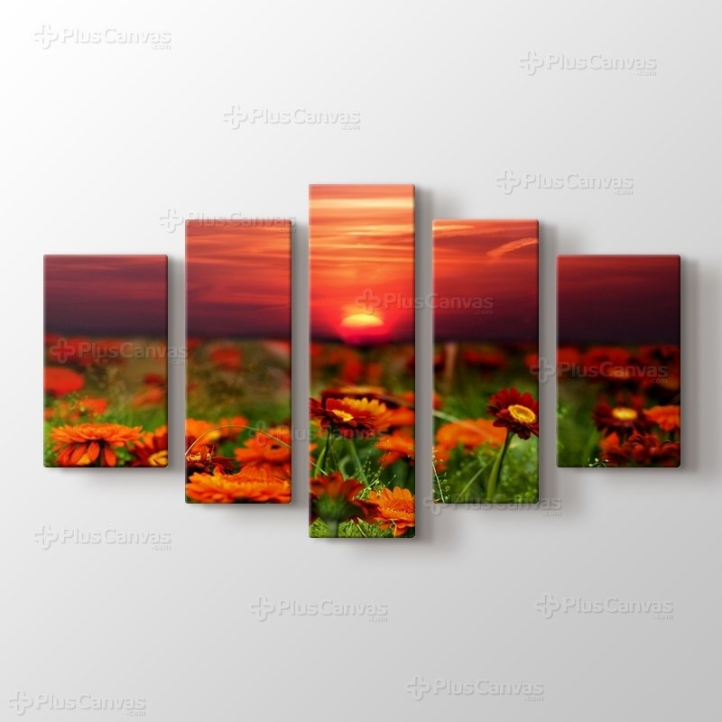 Günbatımı Çiçek Tarlası görseli.