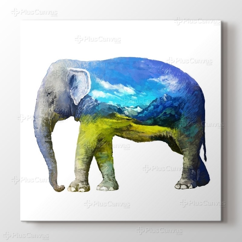 Elephant Nature görseli.