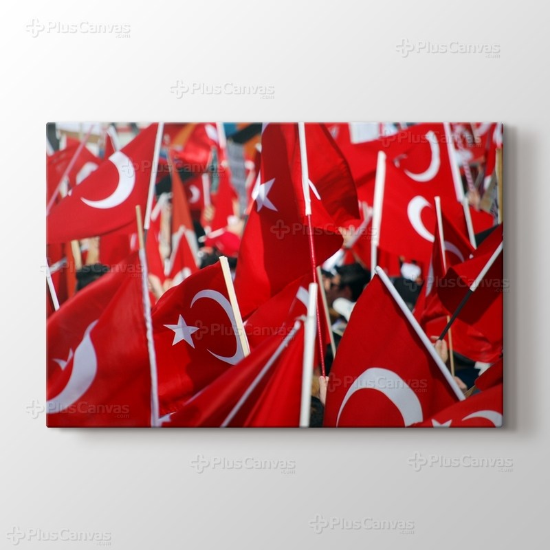 Izmir - Republican Rally 2009 görseli.