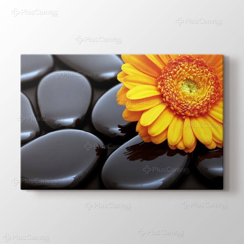 Black Pebbles and Flower görseli.